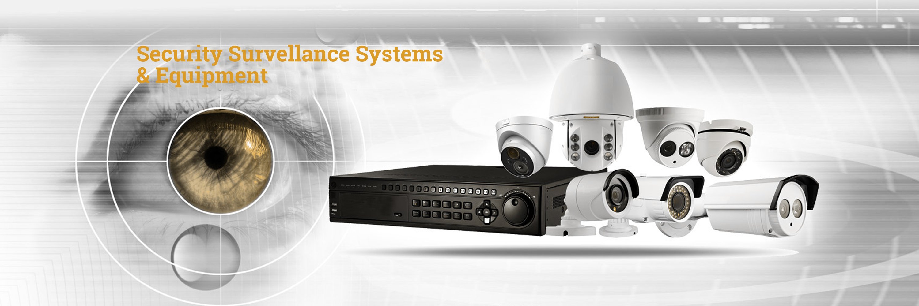 Security Surveillance